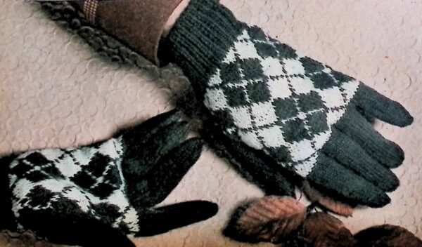 Geblokte slipover en handschoenen