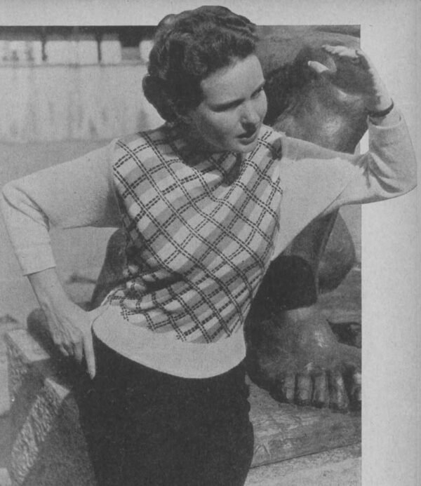 Foto 1 D50T180 Geblokte damesjumper