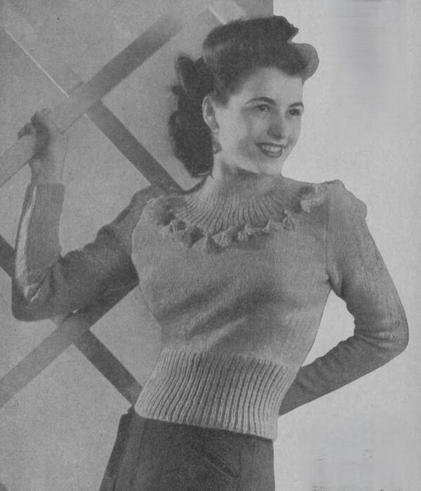 Foto D50T164 Damesjumper met pas