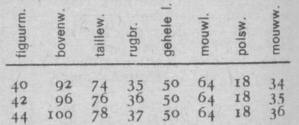 Damesjumper met Noors motief