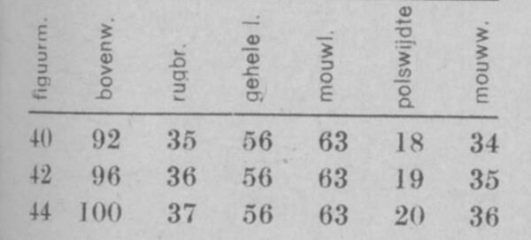 Damesjumper met motieven