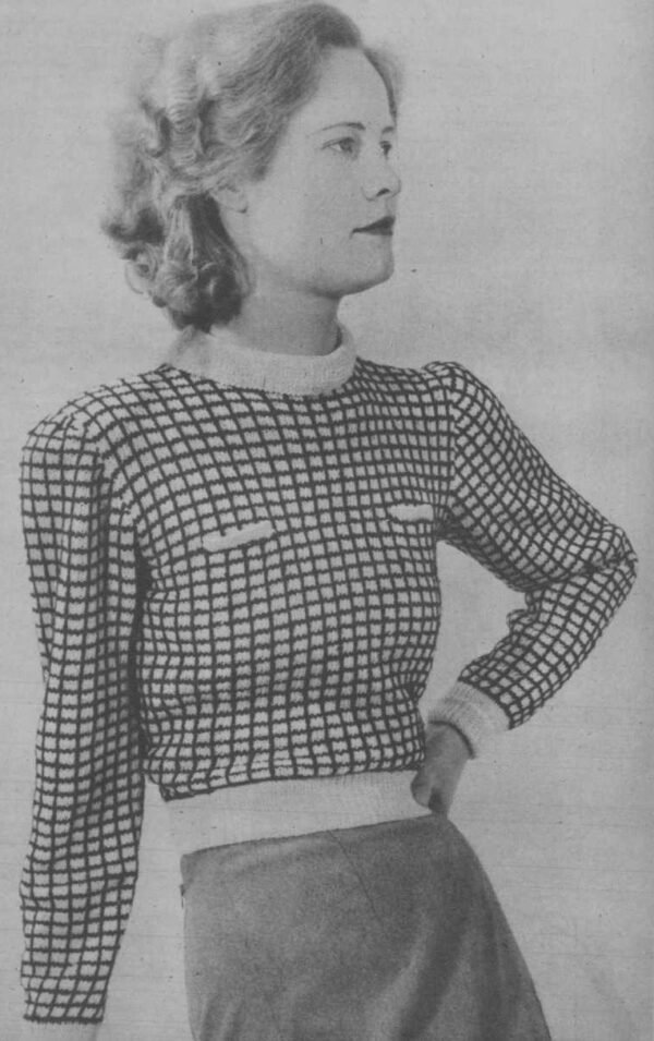 Damesjumper in twee kleuren